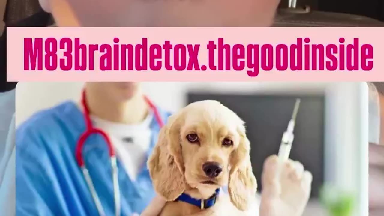 Still routinely vaccinating your beloved Pets in 2025 then you’re simply not paying attention.