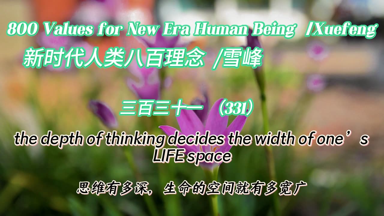 800 Values for New Era Human Being（331）