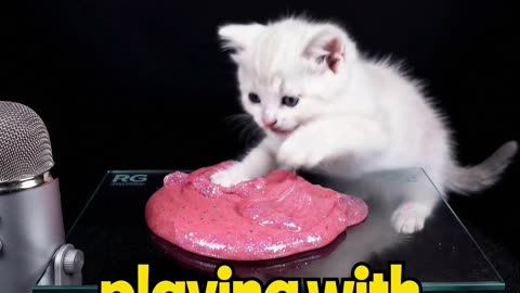 A Cat Running an ASMR Channel? 😺🎧 Playing With Pink Slime!