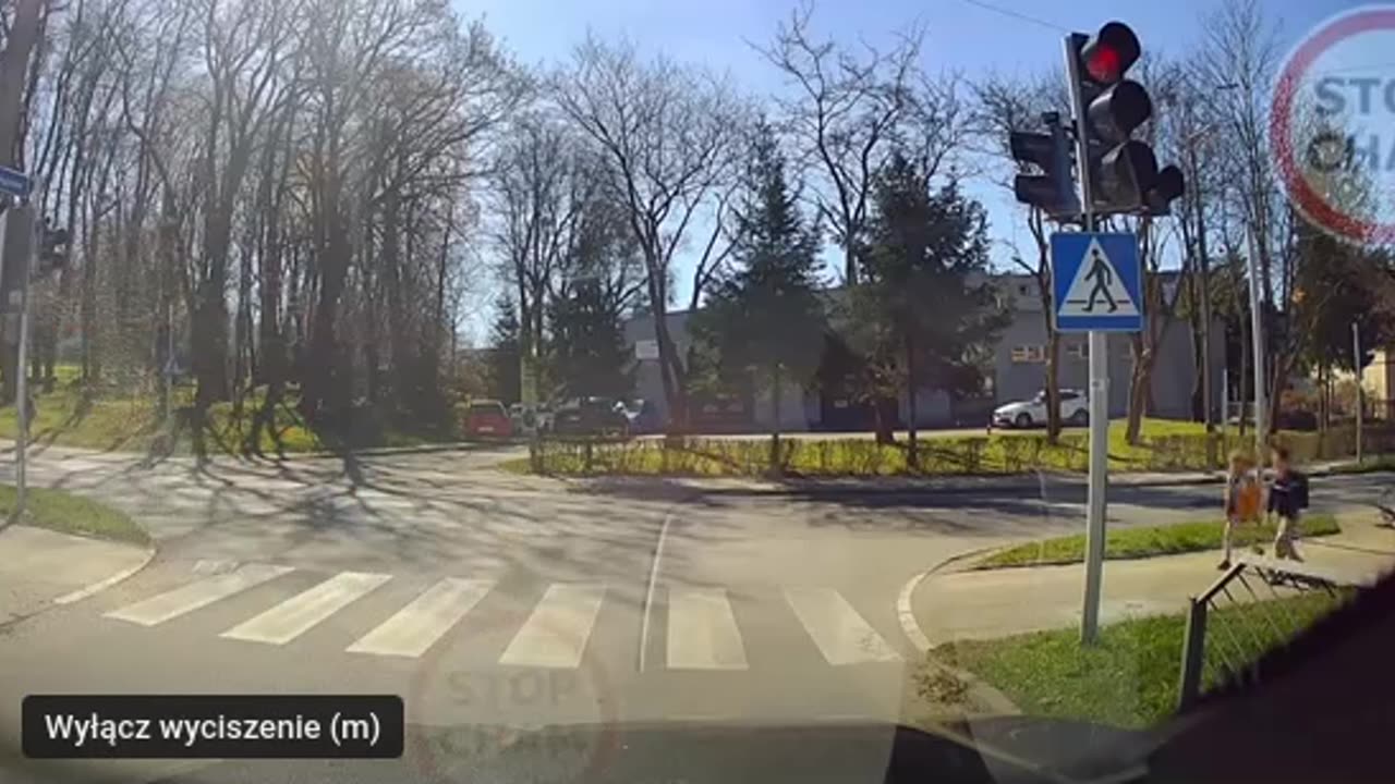 Owieczki drogowe - para goni parę