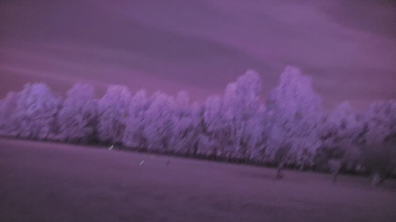 Orb Appears with Trevor and Bailey Hendy at Jaya Sanctuary