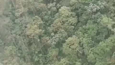 🚁🔥 India Pakistan War | Thai Helicopters Fire Machine Guns at Cambodian Positions | RCF