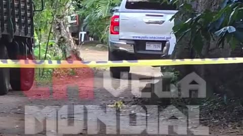 Siguen haciendo hoyos buscando a Brianna Genao