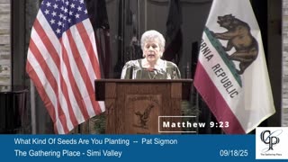 What Kind of Seed Are You Planting - Pat Sigmon