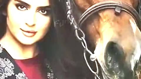Why was Dubai Princess Sheikh Mehra pregnant before marriage?