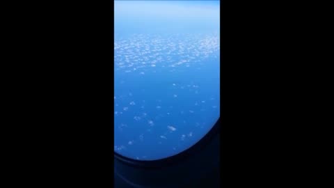 Humongous underwater object caught on video