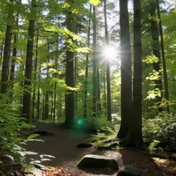 Why the Path Less Traveled Leads to a Fuller Life