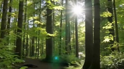 Why the Path Less Traveled Leads to a Fuller Life