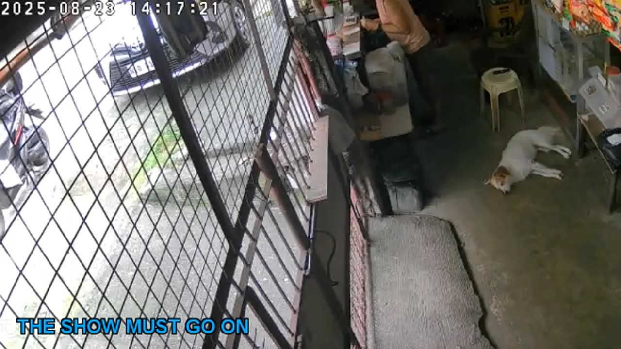 Mitsubishi Xpander 2019 Live