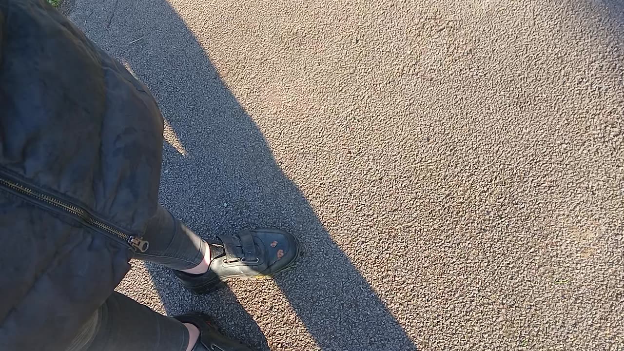 Cops dogs dead and animals