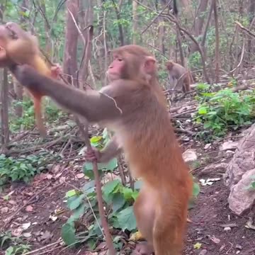 Mom doing best to keep baby out of trouble