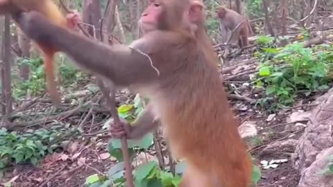 Mom doing best to keep baby out of trouble