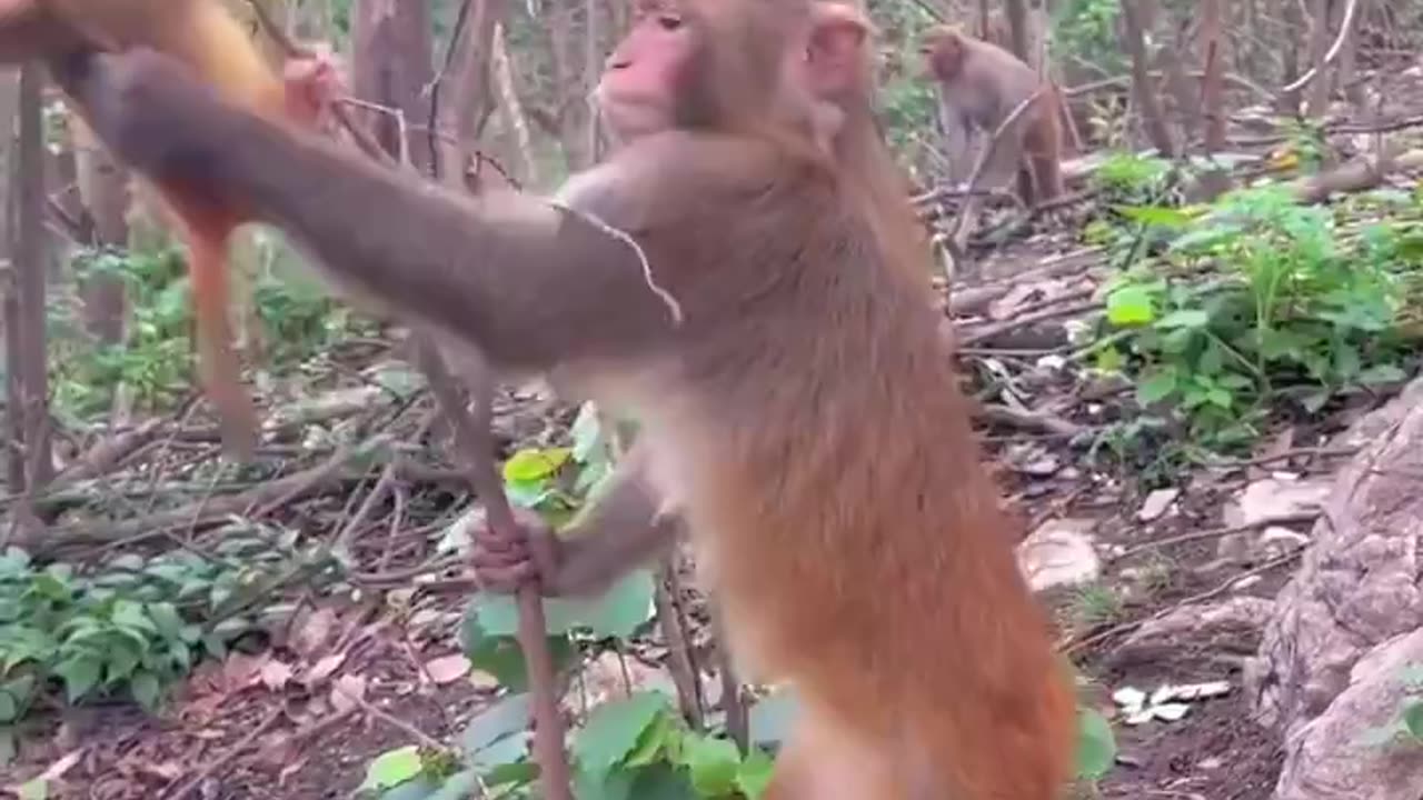 Mom doing best to keep baby out of trouble