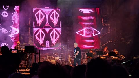 Kazik Staszewski koncert Pod Wspólnym Niebem