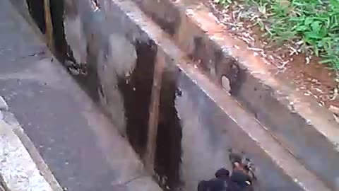 trench walk pleas follow