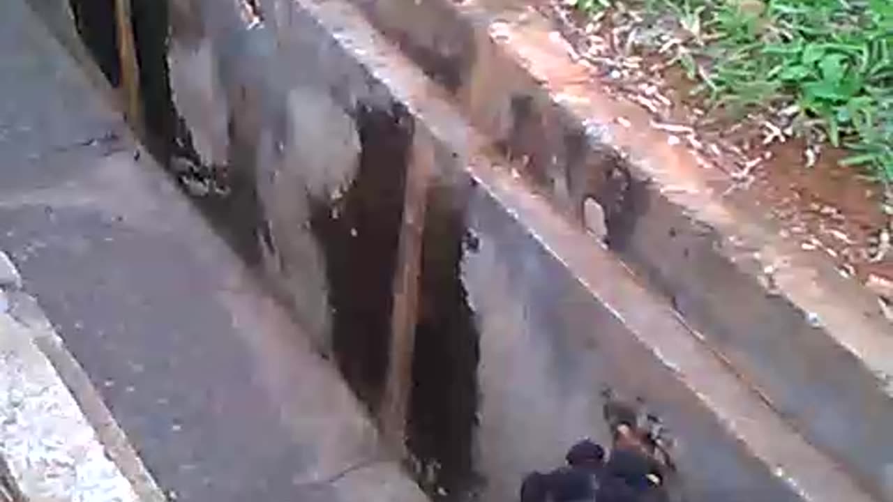 trench walk pleas follow