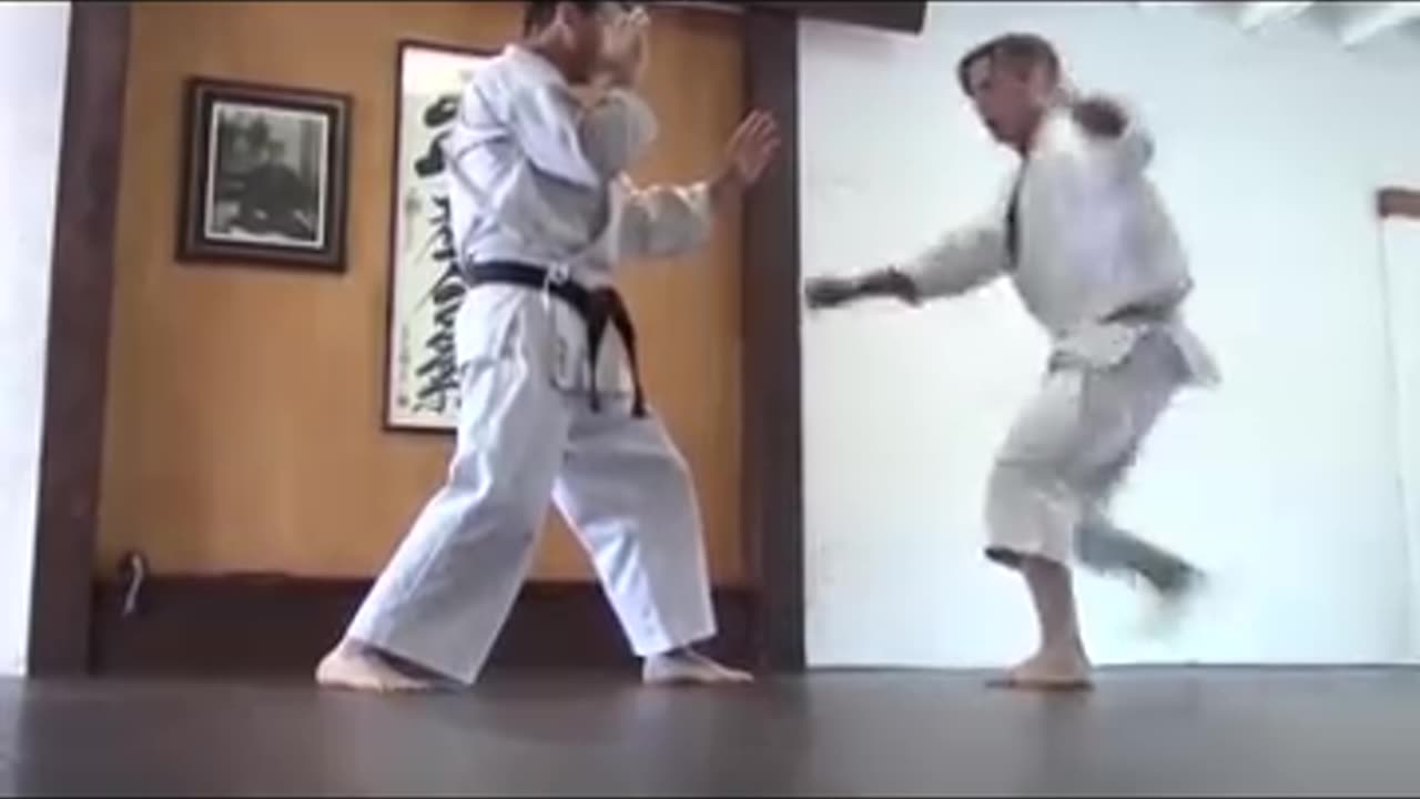Karate Kicking