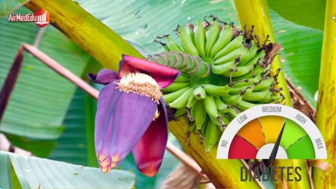 Flor de Plátano para Controlar la Diabetes