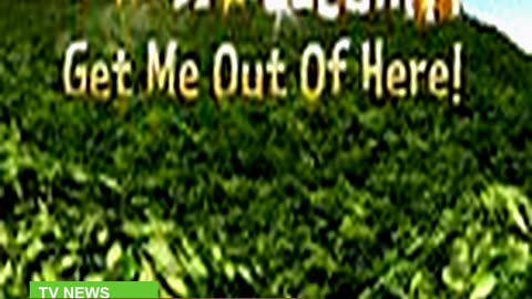 Legendary Im a Celeb Winner and Iconic Tv Star Wh