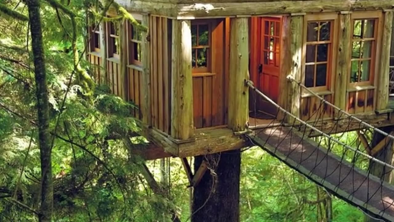 eco_friendly_nature ।। with virtual world experience ।। unexplored fact।। Explore The World