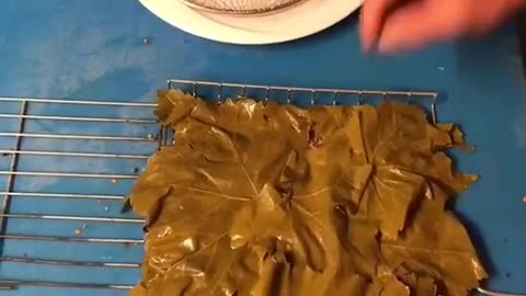 Fast & Easy Lunch Mukbang