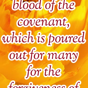 "The Blood of the New Covenant" Matthew 26:28 #shorts #youtubeshorts #ytshorts #shortvideo #youtube