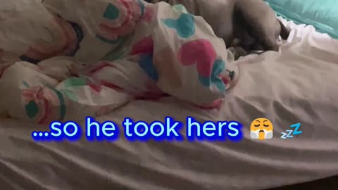 Blue take Hailey bed as a pay back