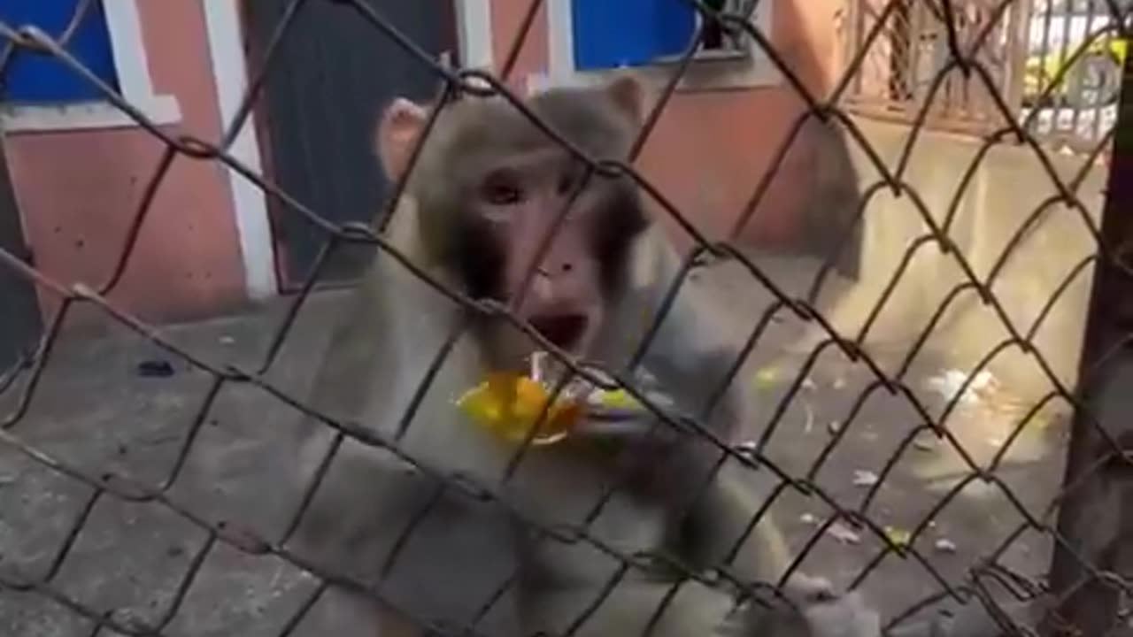 What you gonna do now?