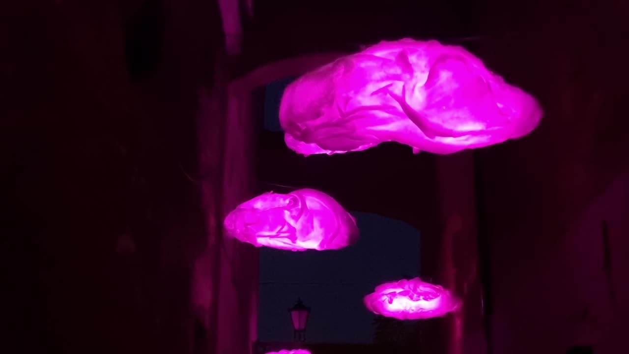 Bella Skyway Festival - Pink Mirage