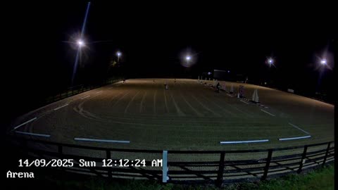 Live Stream