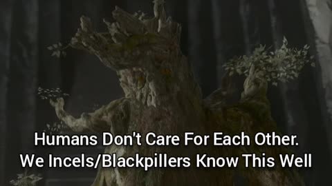 Humanity Doesn't Care For Each Other. Incels Know That All Too Well