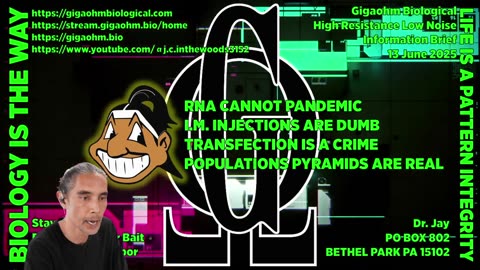 Gigaohm Biological High Resistance Low Noise Information Brief