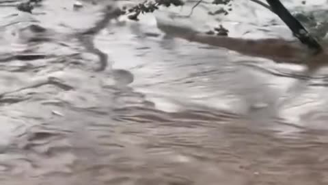 FLOODING IN FLORIDA