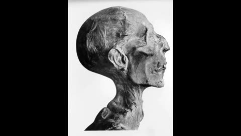 THE HYKSOS OCCUPATION OF EGYPT PART 1