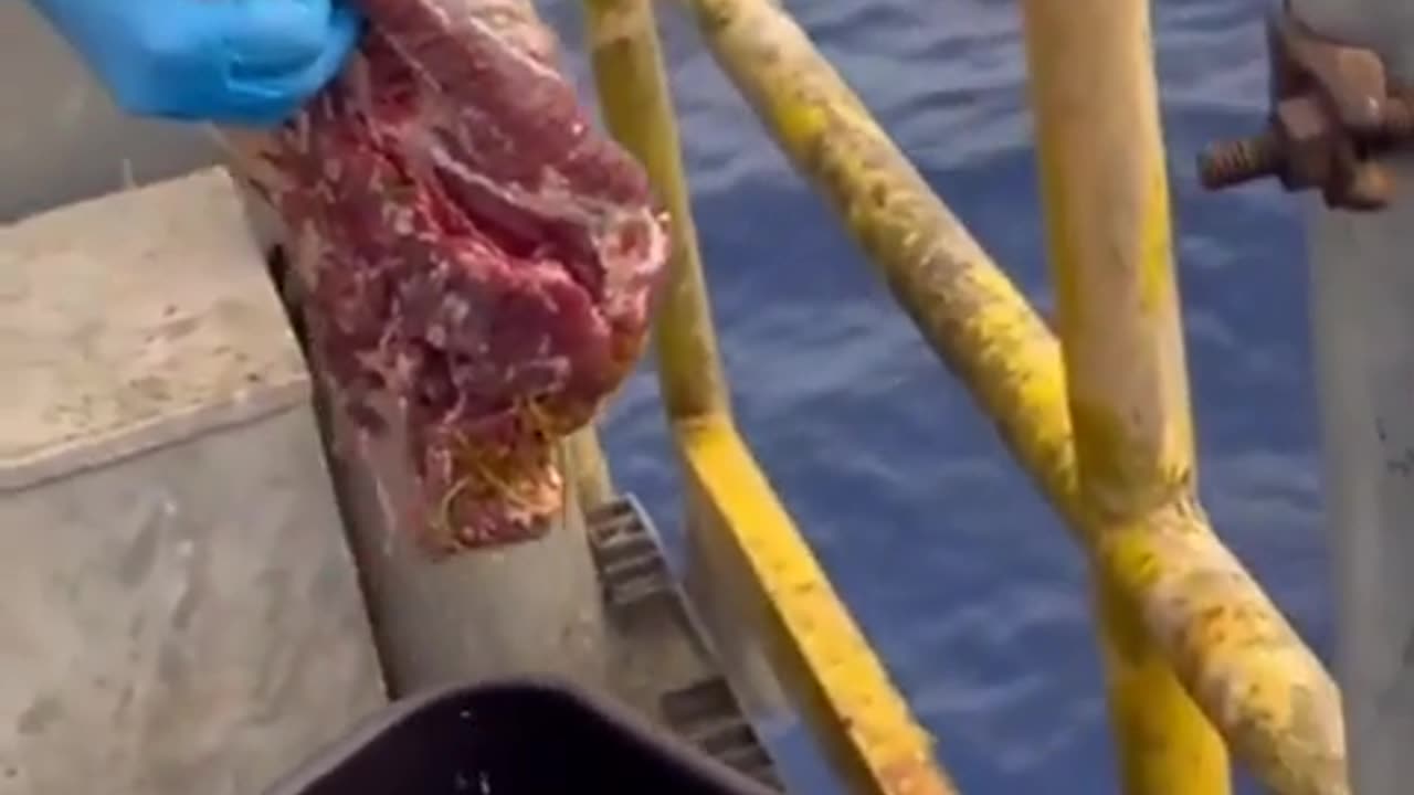 Don't Fall Overboard