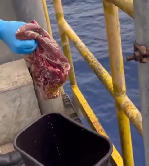 Don't Fall Overboard