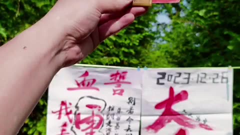 2025.9.3世界人民大团结，大反攻，大收割，宇宙一切邪恶势力一锅端斩立决！
