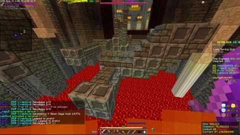 Skyblock FLOOR 7 [#2233]
