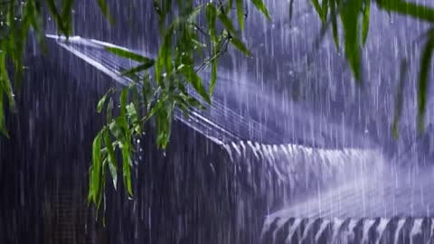 🌧️ Rainy Nng, Studying, or Sleepingain Sounds for Relaxing, Studying, or Sleeping
