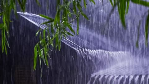 🌧️ Rainy Nng, Studying, or Sleepingain Sounds for Relaxing, Studying, or Sleeping