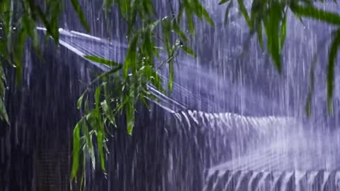 🌧️ Rainy Nng, Studying, or Sleepingain Sounds for Relaxing, Studying, or Sleeping