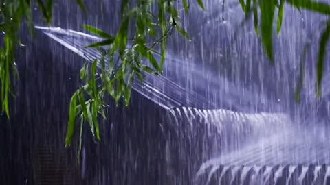 🌧️ Rainy Nng, Studying, or Sleepingain Sounds for Relaxing, Studying, or Sleeping