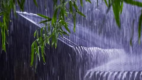 🌧️ Rainy Nng, Studying, or Sleepingain Sounds for Relaxing, Studying, or Sleeping