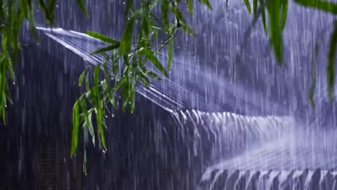 🌧️ Rainy Nng, Studying, or Sleepingain Sounds for Relaxing, Studying, or Sleeping