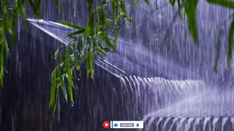 🌧️ Rainy Nng, Studying, or Sleepingain Sounds for Relaxing, Studying, or Sleeping