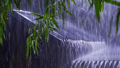 🌧️ Rainy Nng, Studying, or Sleepingain Sounds for Relaxing, Studying, or Sleeping