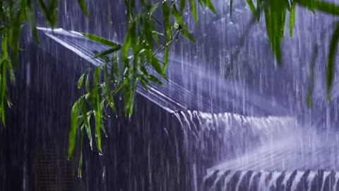 🌧️ Rainy Nng, Studying, or Sleepingain Sounds for Relaxing, Studying, or Sleeping
