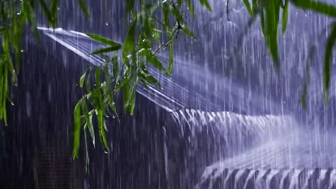 🌧️ Rainy Nng, Studying, or Sleepingain Sounds for Relaxing, Studying, or Sleeping