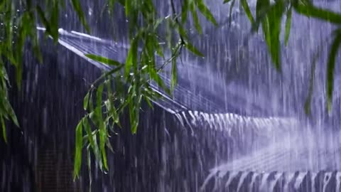 🌧️ Rainy Nng, Studying, or Sleepingain Sounds for Relaxing, Studying, or Sleeping