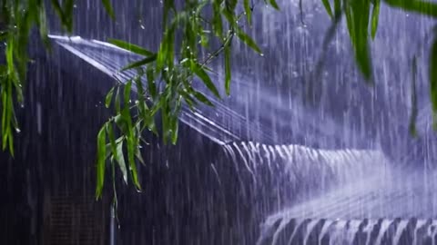 🌧️ Rainy Nng, Studying, or Sleepingain Sounds for Relaxing, Studying, or Sleeping